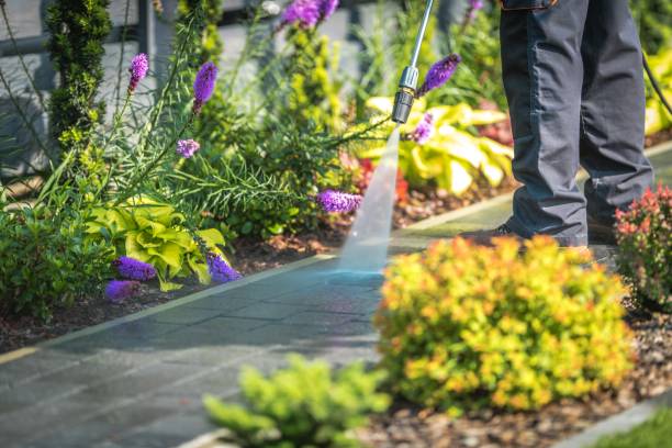 Deridder, LA Pressure Washing Pros